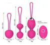 2022Kegel toy10 Speed Vibrator Balls Ben wa ball G Spot Vibrator Wireless Remote Control Vaginal tighten Exercise sex for Women Q05038167