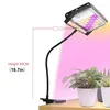 Grow Lights Supporto da tavolo Lampada per piante Scrivania Spettro completo IR-UV LED incluso per piante da interno