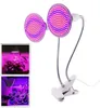 Lumiparty 400Led Plant Grow Light Doublehead Clip med rödblå lampa inomhus Greenhous Hydroponic Vegetable Cultivation 40W Ligh8243820