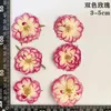 60pcs Pressed Dried Red Yellow Pink Rose Flower Plants Herbarium For Jewelry Bookmark Scrapbook Phone Case Candle Lampshade DIY 240223