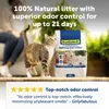 PetSafe ScoopFree Sac à litière naturelle de qualité supérieure pour chat, contrôle supérieur des odeurs pendant 21 jours et plus, 8 lb