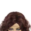 Parrucche per capelli ricci sintetici per donna Parrucca lunga marrone Ombre Naturale soffice Donna Uso quotidiano per cosplay Falso Elegante Mamma 240306