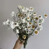 Più di 60 capoliniBundleVero bouquet di Cineraria bianca essiccata naturaleDecorazione con disposizione di rose seccheCasa 240223