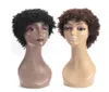 Kinky encaracolado afro peruca de cabelo sintético curto preto perucas para mulheres e men039s africano pelucas cosplay wig5750905