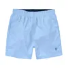 Men's typical designer swimwear, quick drying embroidered beach pants, summer swimwear, seaside water board shorts
