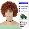 Perruques de cheveux synthétiques Ice Spice perruque rebondissante courte Afro crépus bouclés pour femmes Orange brun moelleux Halloween Costume Cosplay 240306