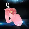 sex toys for men chastity cage penis ring dildo Chastity lock binding pendant men's resin chastity cage metal cock cage