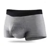Underpants Men's Underwear Boxers Modal Gun Egg Separation Elephant Scrotum Care Breathable Boyshort Sexy Lingerie Panties