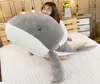 Big Animal Whale Plush Toy Cartoon Dolphin Doll Blue Whale Pillow for Children Girl Gift Decoration 59inch 150cm DY507177337444