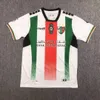 2024 2025 CD Palestino Soccer Jerseys Chile Carrasco Cornejo Salas Davila Farias Special Home Away Away 3番目のグリーンフットボールシャツ