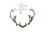 Witch Forest Elf Hair Tiara Crystal Crescent Moon Leaf Crown Pixie Jewelry for Women 240306