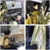 Succo di canna da zucchero di canna da zucchero portatile commerciale su piccola scala per la produzione di spremiagrumi