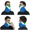 Bandanas a bandeira vegana oficial bandana pescoço gaiter à prova de vento rosto cachecol capa masculino feminino headwear tubo balaclava