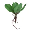 Dekoracyjne kwiaty emulacyjne gałąź Phalaenopsis Orchid Leaf Decoration Decoration Premium for Home Office Wedding Party (zielony)