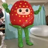 Costume de mascotte de fraise personnalisé professionnel, robe fantaisie de spectacle de fête de carnaval sur scène pour hommes et femmes, Costume d'halloween