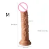 Dildos/Dongs Mini Symulacja Dildo z ssącą Puchar Kobiet Realistyczny penis dla kobiet masturbator Mała wtyczka analna DICK Zabawki dla dorosłych tanie
