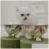 Designer Cat Bowls höjda hundmat och vattenskål Set porslin PET -maträtt med stativ Backflödesförebyggande Diskmaskin Mikrovågsugn Safe Her DHZ3S