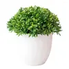 Fiori decorativi Piccoli bonsai Piante finte pastorali Pianta artificiale in vaso Simulazione Erba verde finta per interni