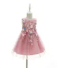 02 jaar verjaardag peuter meisje doopjurk kostuums pasgeboren baby prinses kindercadeau doopkleding jurken voor bloemenmeisjes7843915
