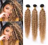 Ombre Miel Blonde Crépus Bouclés Extensions de Cheveux Humains Racine Foncé 1B 27 Péruvienne Bouclée Faisceaux de Cheveux Humains Brun Clair Ombre Vierge H4568489