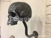 Decorative Objects Figurines Ghost Skull ornaments motorcycle helmet resin ornaments mysterious skull home design T240306