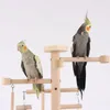 Other Bird Supplies Budgies Cage Toy Ladder Stand Swing Set Parrots Gym Bridge Climbing For Parakeets Cockatiel 87HA