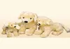 Simulering Animal Golden Retriever Plush Toy Cute Doll Puppies Birthday Gift Car Soft Decoration 50cm DY509902343792