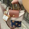 Dumpling Draagbare Tas Cosmetische Mode Franse Tas Mini Crossbody Dames Draagbare Handtas Met Eén Schouder