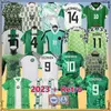 Nigéria 2024 Jerseys de futebol OSIMHEN 19 22 23 24 Camisa de futebol retrô OKOCHA SIMON LOOKMAN IHEANACHO 18 Retro Jerseys 94 96 98 Uniforme de treinamento 1994 1996 1998 RETRO