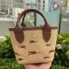 Womens Grass Woven Bags Mini Longc Handbags Designer Crossbody Bag