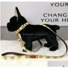 Halsbanden Kwaliteit Hand vasthouden Touw Verziend Mticolor Lederen halsband voor huisdieren Tractie Handen vasthouden Pakbenodigdheden Drop De Dhmma