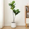 Decorative Flowers 103cm/132cm Large Artificial Ficus Plants Plastic Tropical Fiddle Leafs Fake Fig Tree Branch Floor For Garden Office Home