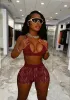 Sets Echoine Sexy See Through Lace Crop Top Shorts Set Two Piece Set Tracksuit Skinny Bodycon Outfits Women Summer Club Matching Set