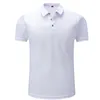 Summer Classic Polo Shirt Men Quick Dry Short Sleeve Tee Shirt Breathable Camisa Masculina Polo Hombre Jerseys Golftennis 4XL 240306