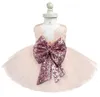 Enfant en bas âge bébé fille robe moelleux Tutu robes de mariée pour les filles première fête d'anniversaire porter Costume pour enfants 039s pour enfants bal Desi9534177