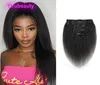 Cheveux vierges brésiliens Kinky Straight 120g Clip dans les extensions de cheveux 120g Kinky Straight Clipin sur 100 cheveux humains couleur naturelle4997379