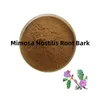 Mimosa -Rinde 30: 1 Wurzeln getrocknete sensible Pflanzen getrocknete Kräuterwurzeln