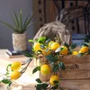 Fiori decorativi 53 cm Ramo di simulazione Decorazione di frutta artificiale in plastica Festa di nozze Rametti di vite realistici Casa
