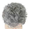 Perucas de cabelo cinza velha senhora peruca avó óculos pérola colar 3 pçs/set criança avó cosplay peruca para a escola de natal dia de ação de graças 240306