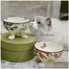 Designer Cat Bowls Raised Dog Food And Water Bowl Set Porcelain Pet Dish With Stand Backflow Prevention Dishwasher Microwave Safe Her Dh4Ov