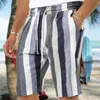 Pantaloncini da uomo Tropics Hawaii Beach Uomo Summer Board Casual Vacanza Costume da bagno a righe Y2k Surf Costume da bagno Homme 2024 Pantaloni corti