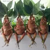 Decorative Objects Figurines New Mandrake resin ornaments Mandrake home decoration Mandrake straightening T240306