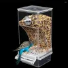 Andere vogelbenodigdheden Drinkeraccessoires Para Geen container Voedsel voor zaadvoeders Mess Feeder Middelgrote en automatische kooi Parrot Small M4i2