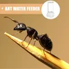 Autres fournitures d'oiseaux Fournitures d'alimentation d'eau de fourmis Bols de ferme Mini boîte d'alimentation liquide Micro Accessoires de nid d'animaux