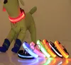 LED Dog Collar USB充電式バッテリーバッテリー6色で利用可能6サイズのサイズあなたの犬を安全に見えるようになり、見ました5277701