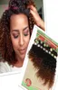 Ombre Borgonha Kinky Curly 14 polegadas Cabelo Brasileiro Onda Profunda Encaracolado Trança Humana Extensão de Cabelo Afro-Americano Cabelo Malaio Hum9304148