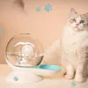 Snails Bubble Cat Water Fountain Automatisk husdjursdispenser för katter Dogs Stora kapacitet Drickskålar levererar 240304