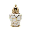 Storage Bottles Modern Ginger Jar Ornament Collections Decorative Oriental Container