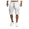 Herenshorts Zomer Cargo Heren 2024 Casual Trunks Fitness Workout Strand Man Ademend Katoen Gym Korte Broek Streep