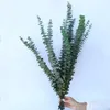 Decorative Flowers Low Maintenance Green Plant Easy Care Eucalyptus 10pcs Natural Leaf Branches For Home Decor Non-withering